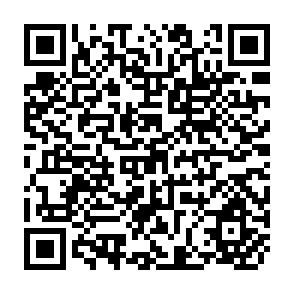 QR Code for The Practice of Entrepreneurship