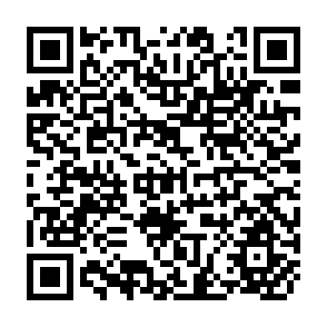 QR Code for Public Economics