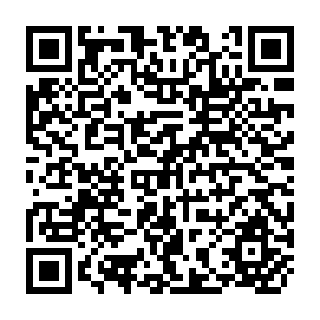 QR Code for The Conquest of Famine