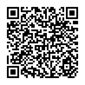 QR Code for Medical Licensure and Dicipline in the United States