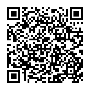QR Code for Saving the Forests: What will it Take?