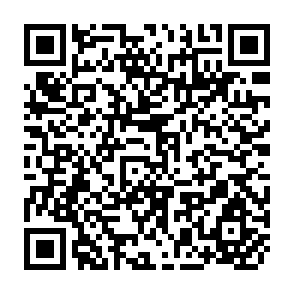 QR Code for Forestry Management for Sustainable Development