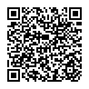 QR Code for The Future of North - South Relations
