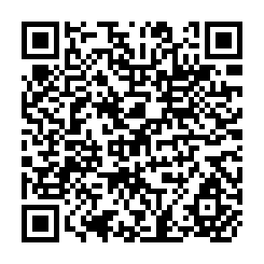 QR Code for The Endangered Rainforests and the Fight for Survival