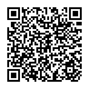 QR Code for The Endangered Rainforests and the Fight for Survival