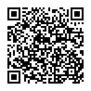 QR Code for The Violence of the Green Revolution- Third World Agriculture, Ecologoy and Politics
