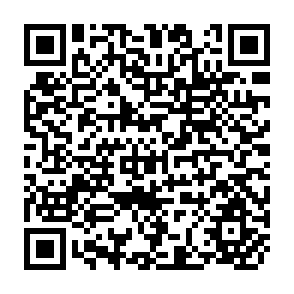 QR Code for Rural Land Use in Asia and The Pacific