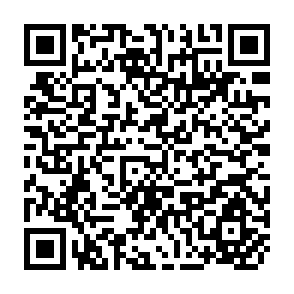 QR Code for Implementation Programme 1972