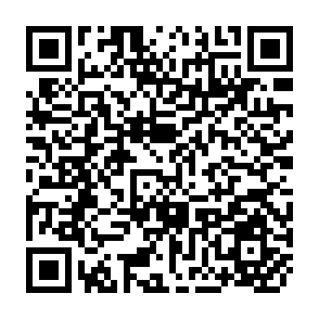 QR Code for Implementation Programme 1973