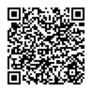 QR Code for The Changing Economic Context of Mixed Farming in Savanna West Africa: A Conceptual Framework Applied to Burkina Faso