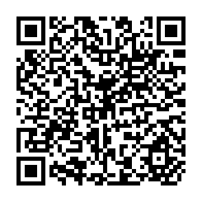 QR Code for The Political Economy of Agrarian Change