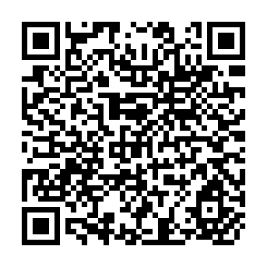 QR Code for Global Biodiversity Strategy