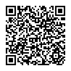 QR Code for Theory and Practice in Plantation Agriculture : An Economic Review