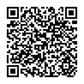 QR Code for Agricultural development- An international perspective
