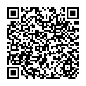 QR Code for Against The Few- Struggles of India's Rural Poor