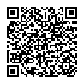 QR Code for The Impact of Labour Migration on Households