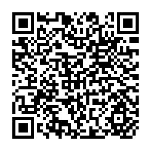 QR Code for The Transformation of International Agricultural Research & Development
