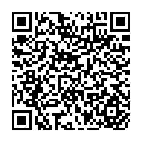 QR Code for Applying Price Analysis to Marketing Systems: Methods and Examples from the Indonesian Rice Market