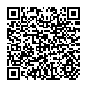 QR Code for Modernizing Super-Exploitation (Restructuring South African Agriculture)