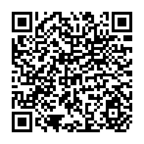 QR Code for Rethinking the Third World: Contributions Toward A New Conceptualization