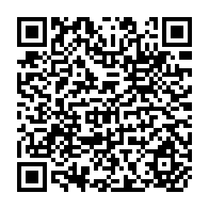 QR Code for Poverty, Household Food Security, and Nutrition in Rural Pakistan