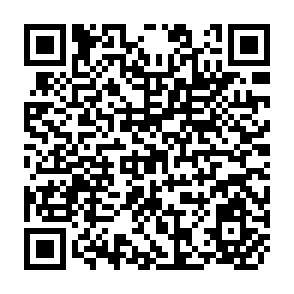 QR Code for Theories Of Human Communication
