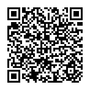 QR Code for Calculator-Based Triginimetry with Applications