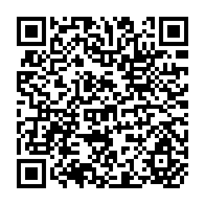 QR Code for The Financial System in the Economy