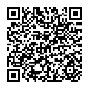 QR Code for International Monetary and Financial Issues For The 1990s
