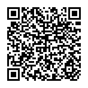 QR Code for Vital Signs 1993: The Trends That Are Shaping Our Future