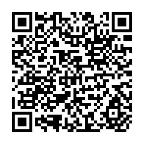 QR Code for Bank on Track: The Global Rail Revival