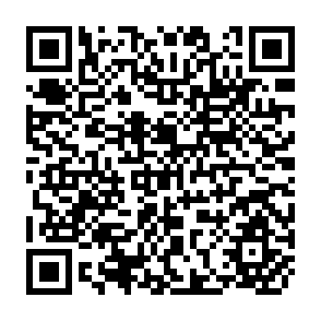 QR Code for Data Needs for Food Policy in Developing Countries