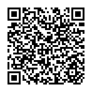 QR Code for Data Needs for Food Policy in Development Countries : New Directions for Houehold Surveys