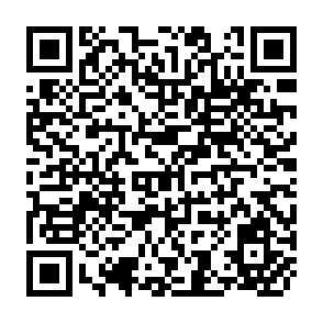 QR Code for Institutional Finance for Agricultural Development An Analytical Survey of Critical Issues