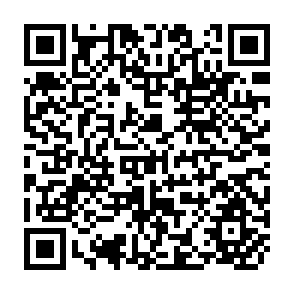 QR Code for The New Rice in Monsoon Asia - Part I
