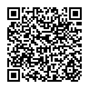 QR Code for Collective Self Reliance of South Asia