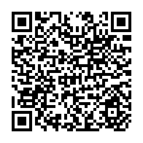 QR Code for The New Rice in Monsoon Asia - Part II