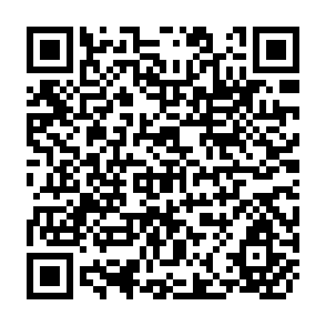 QR Code for The New Rice in Monsoon Asia - Part II