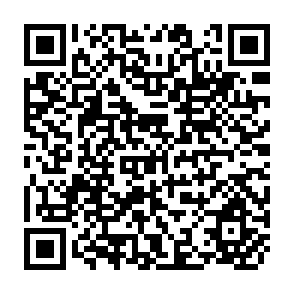 QR Code for Asian Capitalists in the European Mirror