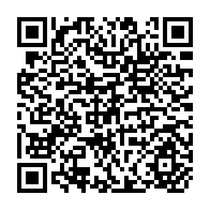 QR Code for Sustainable Agriculture: in Concept and in Deed