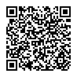 QR Code for Compiling Dta for Food Composition Dtaa Bases