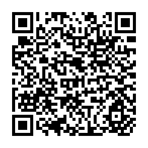 QR Code for World Development Report 1994