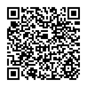 QR Code for Agriculture in Zambia since Independence
