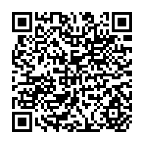QR Code for Current Research on Artificial Regeneration of Dipterocarps