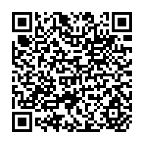 QR Code for Spatial Sector Programming Models in Agriculture
