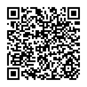QR Code for Trade pessimism and regionalism in African countries: the case of grounfnut exporters