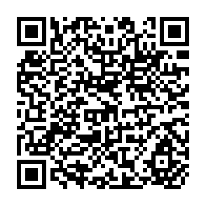 QR Code for Trade pessimism and regionalism in African countries: the case of grounfnut exporters