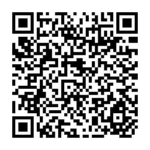 QR Code for The Changing Public Role in a Rice Economy Approaching Self-Sufficiency: The Case of Bangladesh