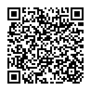 QR Code for Economic Reform in Europe and the Former Soviet Union: Implications for International food Markets