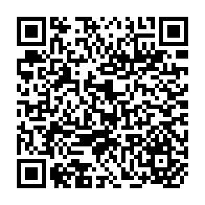 QR Code for 206 World Bank Discussion Papers-Information Technology in World Bank Lending: Increasing the Developmental Impact